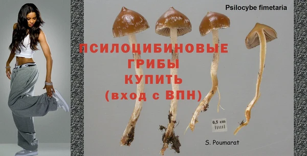 круглые Армянск