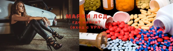 гашик Арсеньев