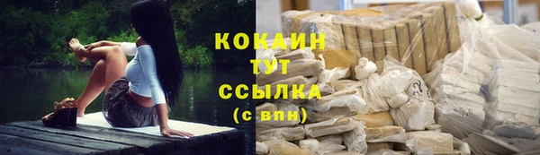 гашик Арсеньев