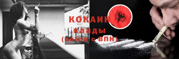гашик Арсеньев