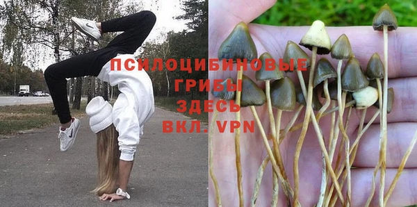 гашик Арсеньев