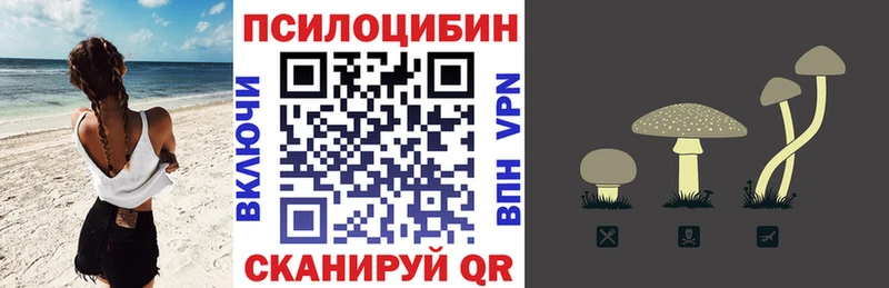 ОМГ ОМГ онион  Родники  Псилоцибиновые грибы Psilocybe 